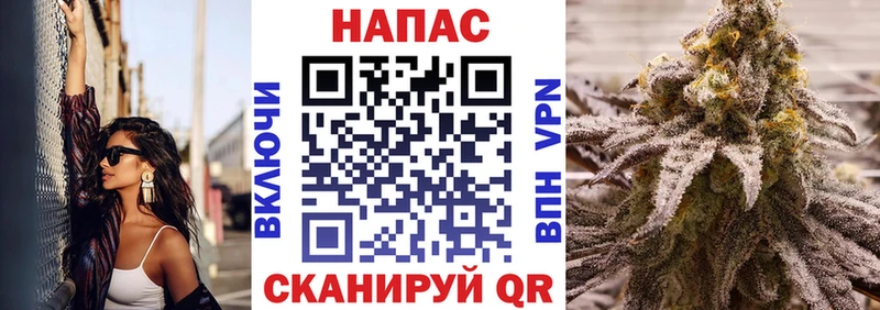 Где купить наркоту Пикалёво Бошки Шишки