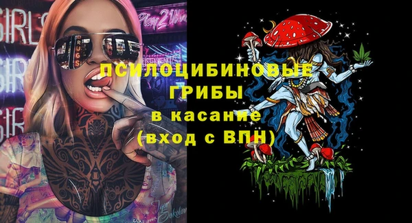 дживик Нея