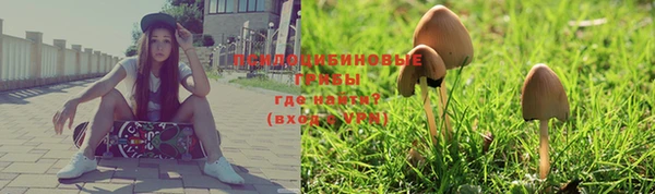 дживик Нея