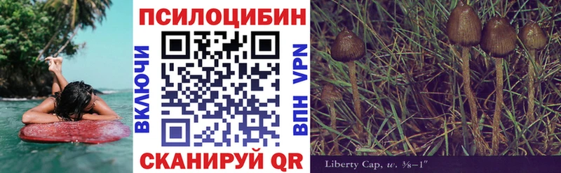 закладка  Пикалёво  Галлюциногенные грибы прущие грибы 